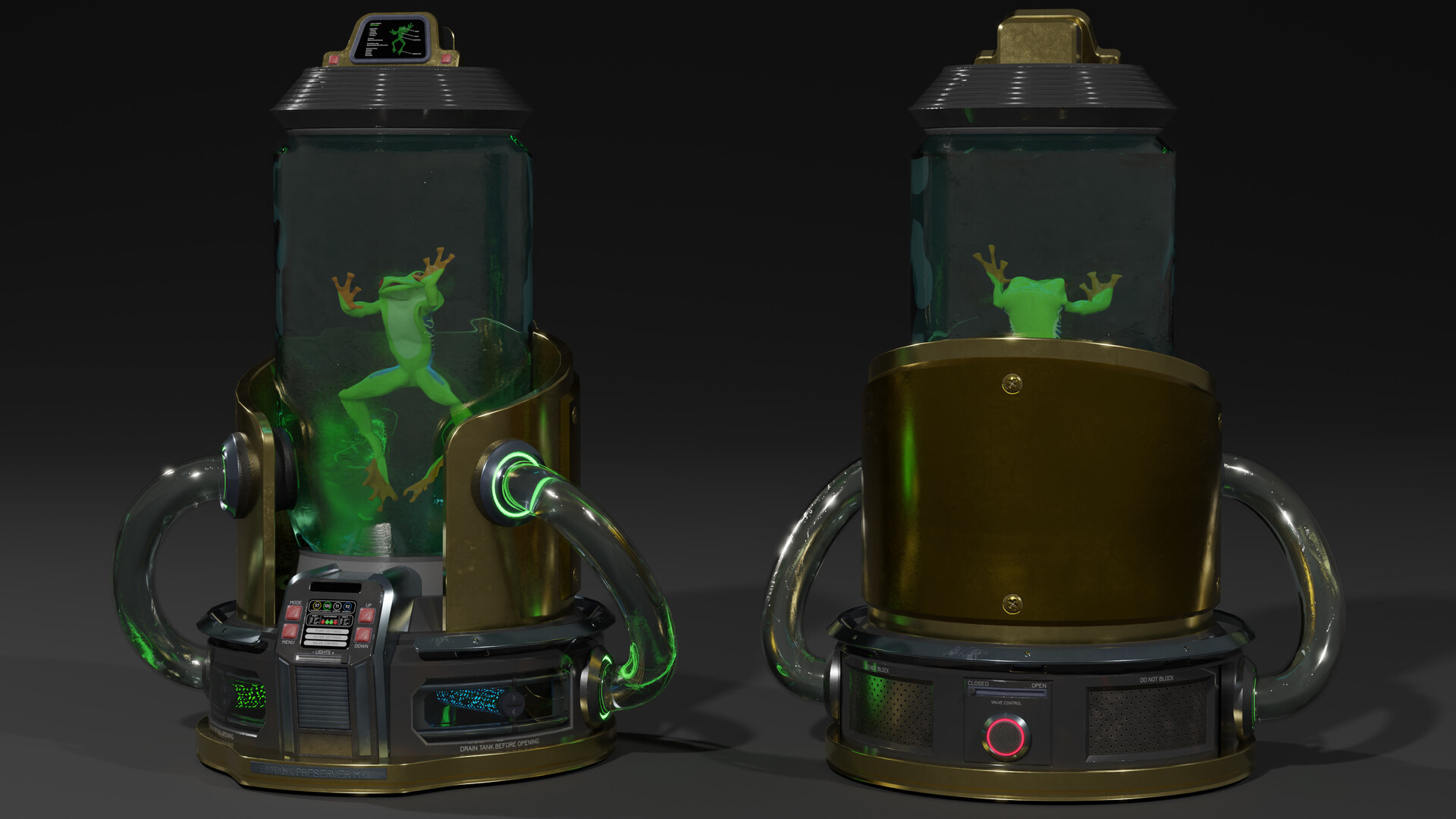 A frog tank