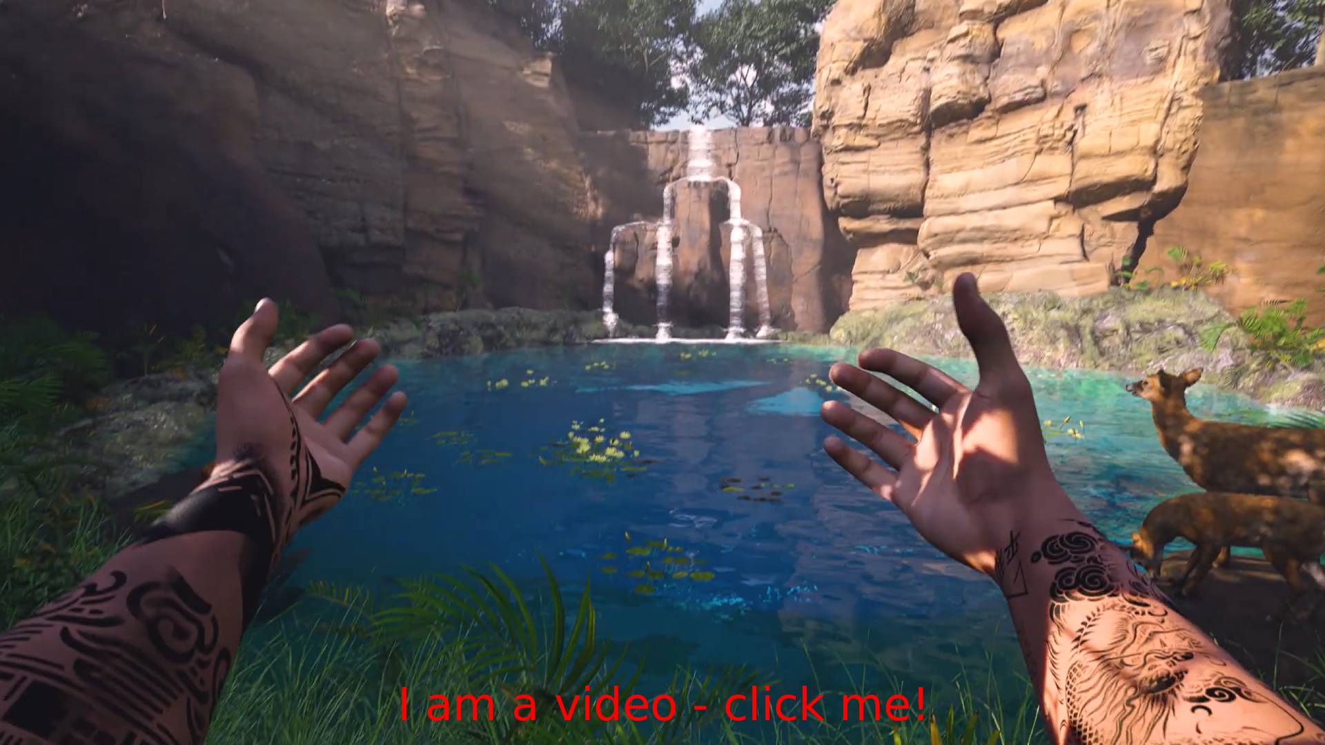 A short video